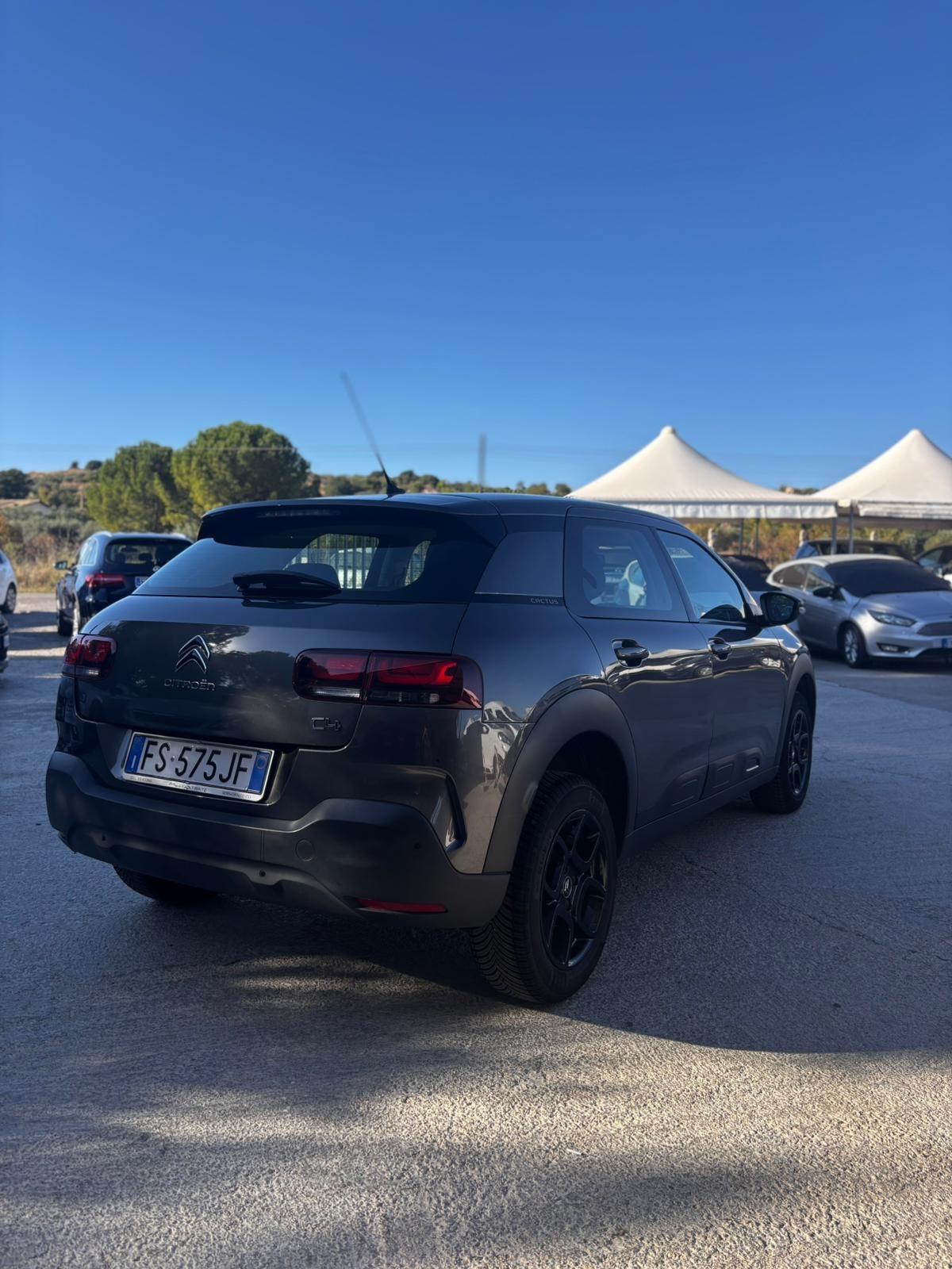 Citroen C4 Cactus BlueHDi 100 S&S ETG6 Feel