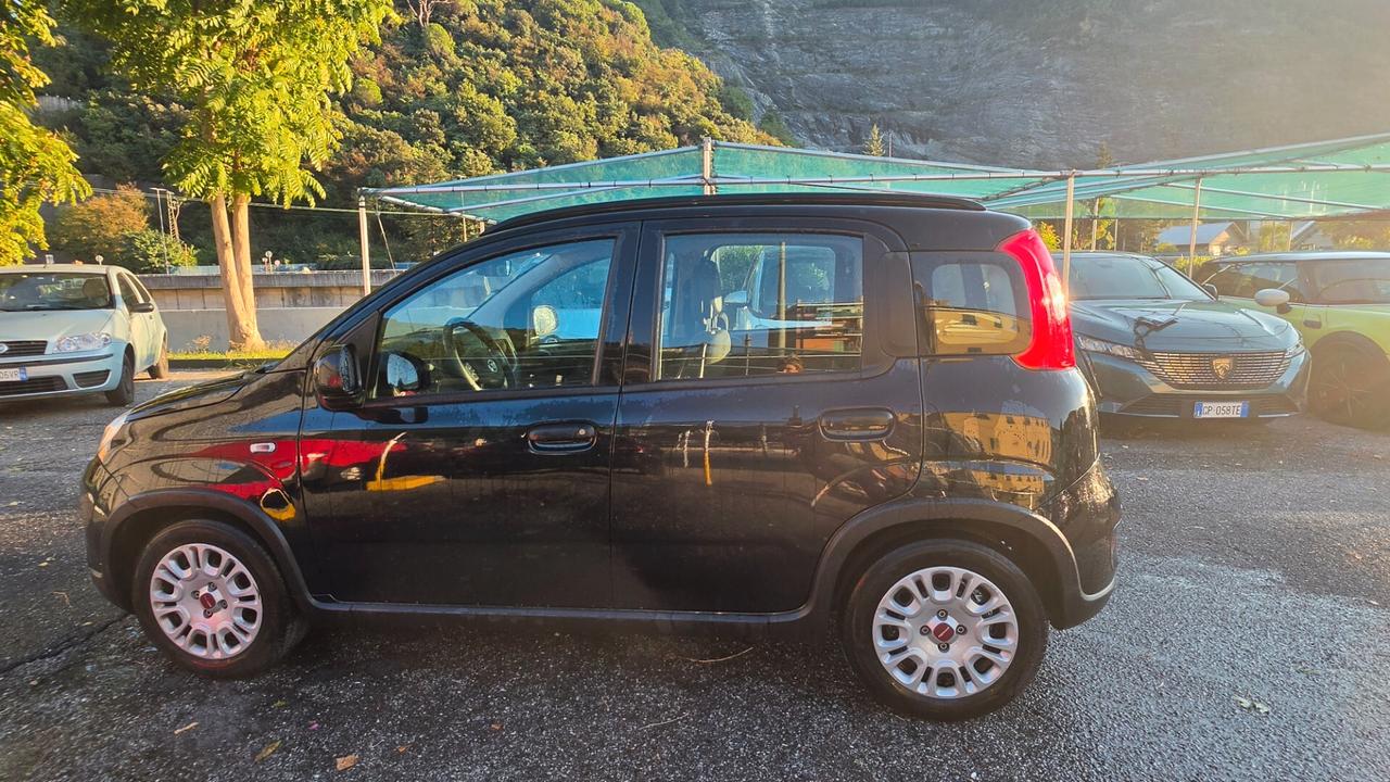 Fiat Panda 1.0 FireFly S&S Hybrid