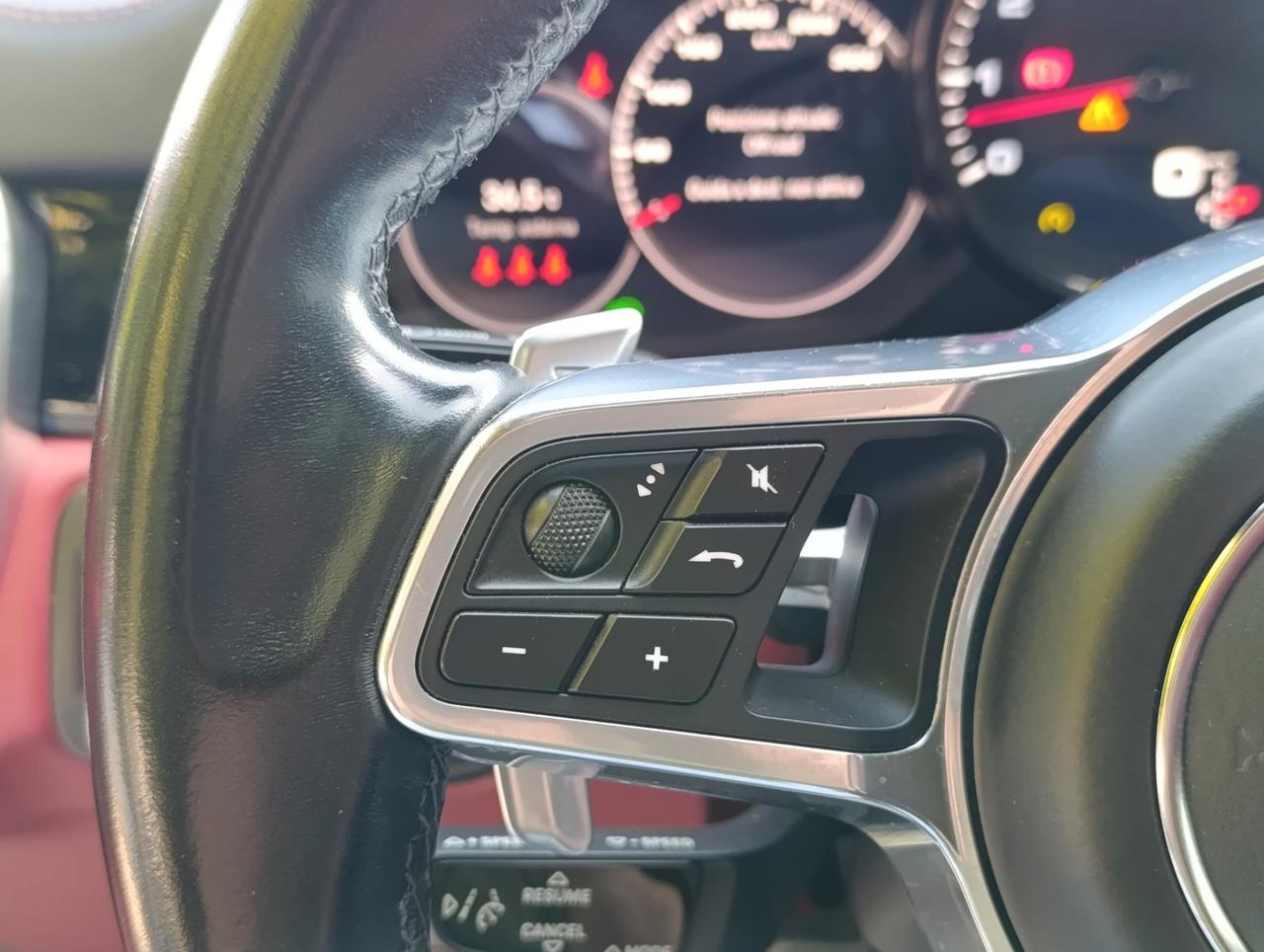 Porsche Cayenne Coupe 2.9 S Platinum Edition 5p.ti tiptronic