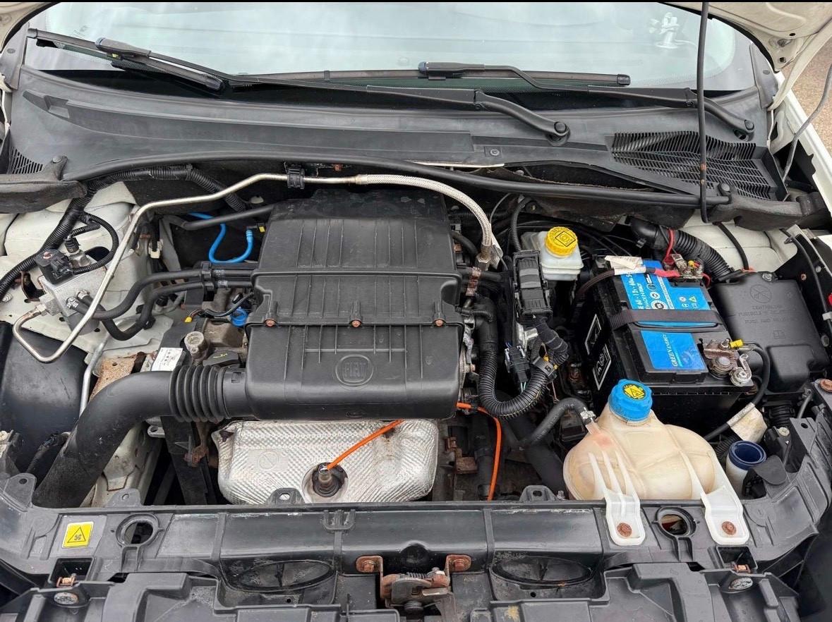 Punto 5p 1.4 Natural Power Street 70Cv E6b