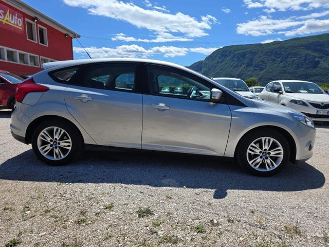 FORD Focus 1.6 125CV 5p.Business