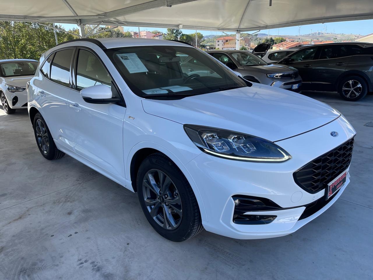 Ford Kuga 1.5 EcoBlue 120 CV aut. 2WD ST-Line