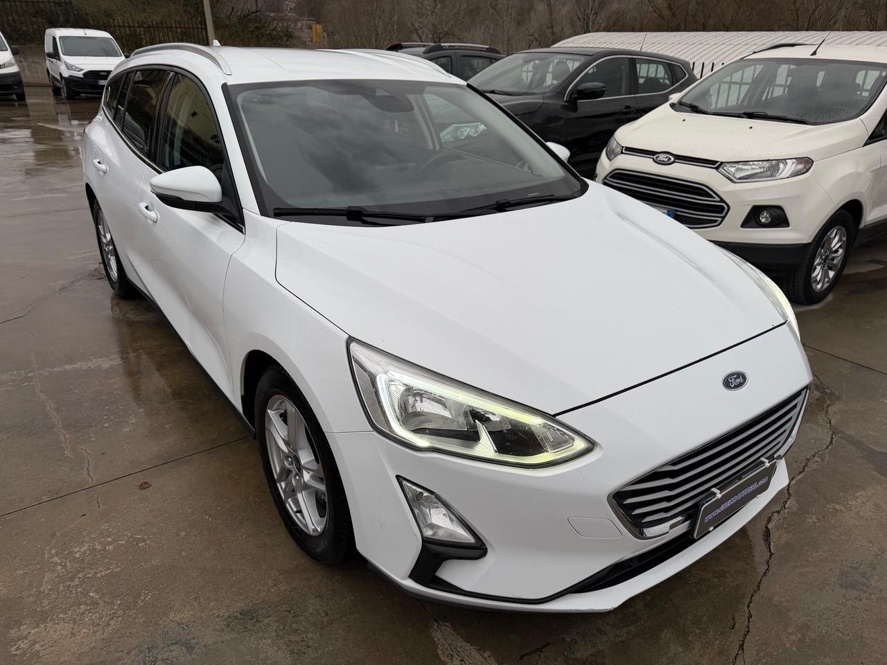 Ford Focus SW 1.5 EcoBlue 120CV ST-Line M.Y.2019