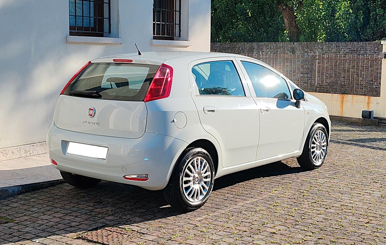 Fiat Punto 1.4 8V Street GPL 2017 OK NEOPATENTATI