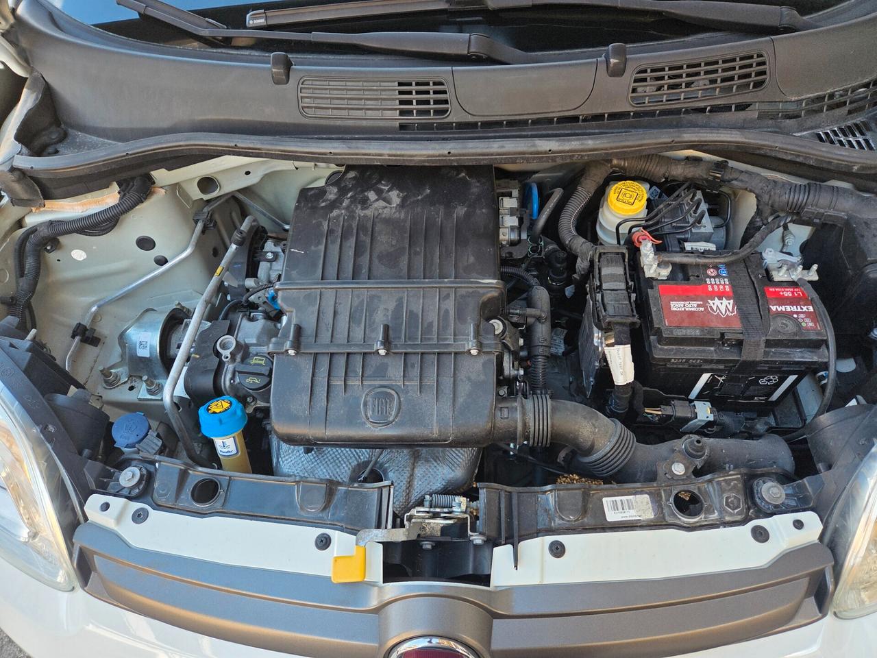 FIAT PANDA K-WAY 1.2 BENZ SOLI KM 80000 CERTIFICATI