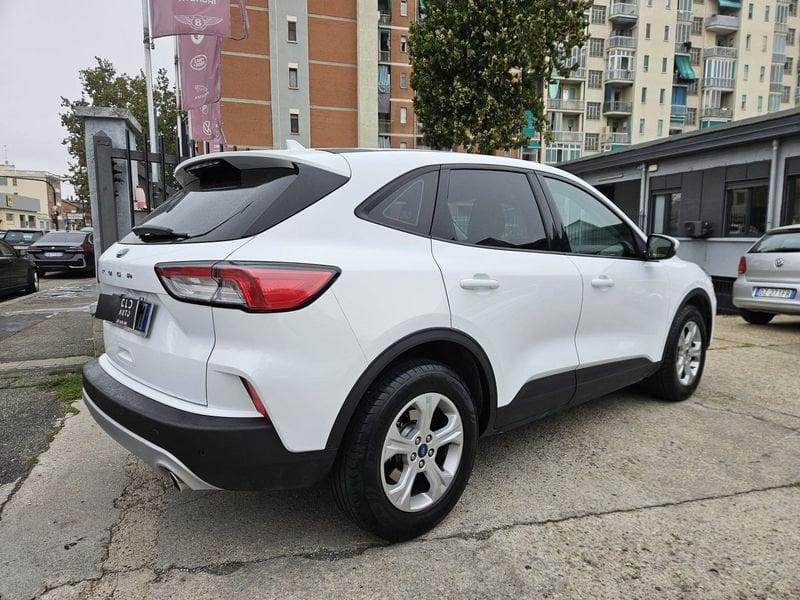 Ford Kuga 1.5 EcoBlue 120CV 2WD Auto