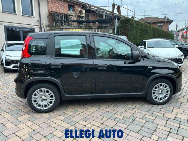 FIAT Panda PROMO FINANZ.PANDINA 1.0 Hybrid KM 0