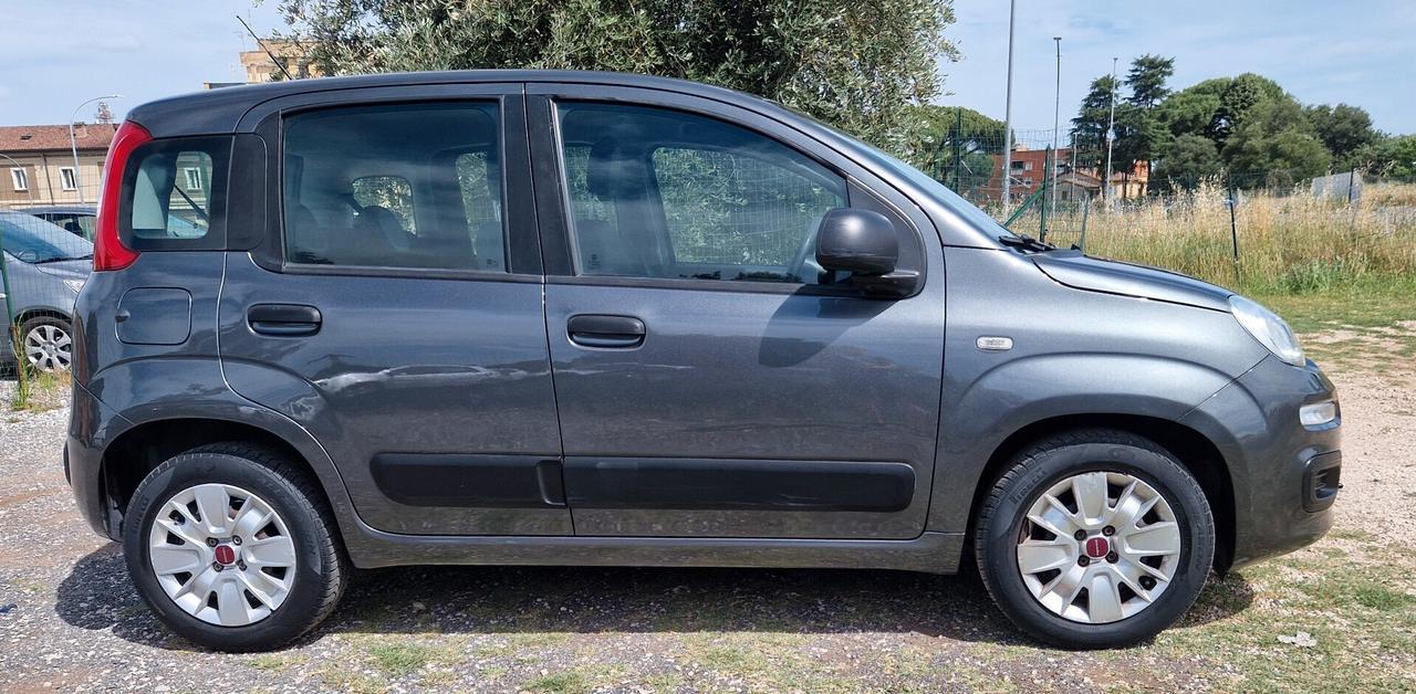 Fiat Panda 1.2 Lounge NEOPATENTATI 51KW