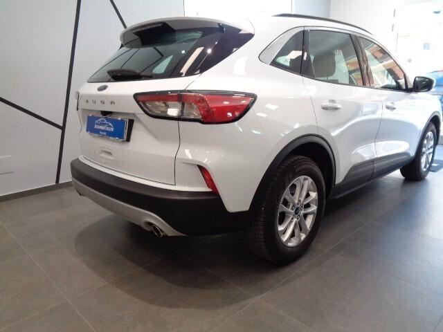 Ford Kuga 1.5 EcoBlue 120 CV aut. 2WD Titanium