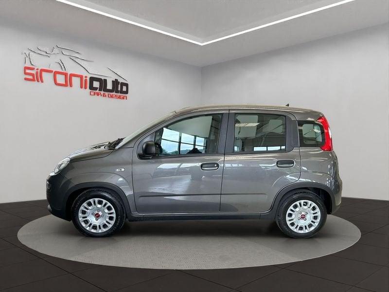 FIAT Panda Panda 1.0 firefly hybrid s&s 70cv 5p.ti - PROMO SIRONIAUTO+