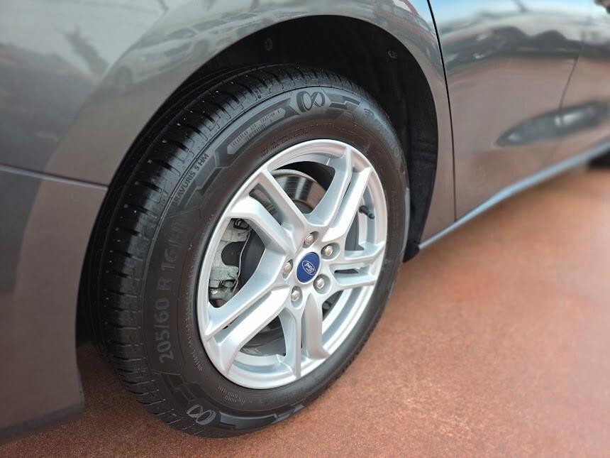 Ford Focus 1.5 EcoBlue 120 CV SW Business