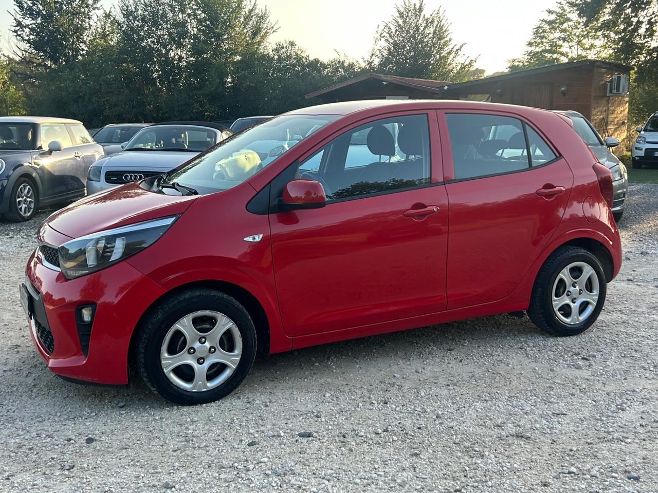 Kia Picanto 1.0 12V 5 porte cool neopatentati