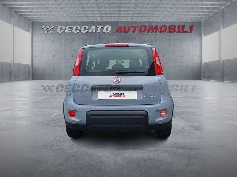 FIAT Panda Panda 1.0 firefly hybrid City Life s&s 70cv 5p.ti