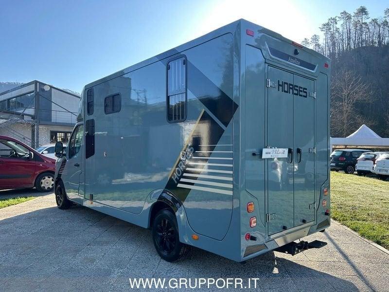 Renault Master RENAULT MASTER AMELINE 165 CV HARAS 5 POSTI NETTO IVA
