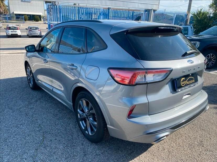 Ford Kuga 1.5 EcoBlue 120 CV 2WD ST-Line