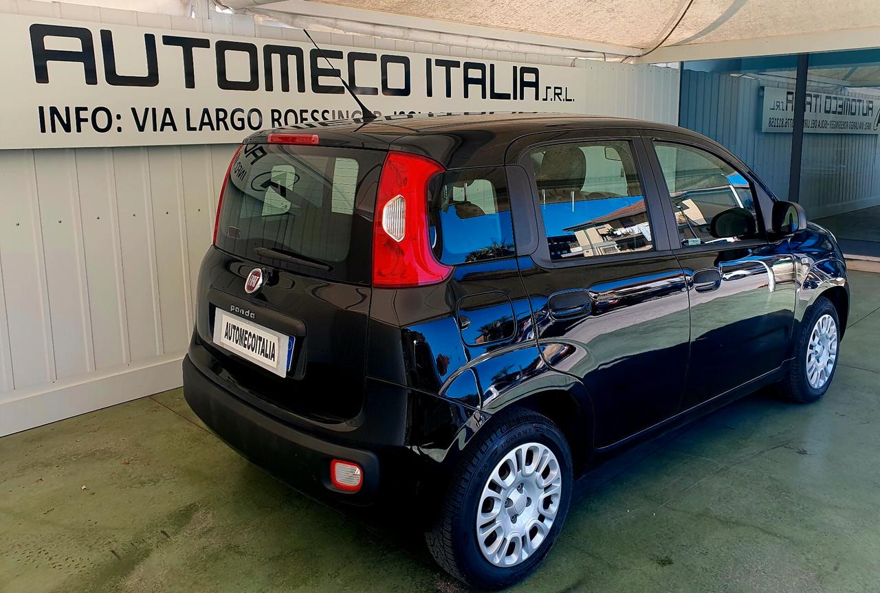 Fiat Panda 1.2 BENZ. - 2016 - KM. 133.000