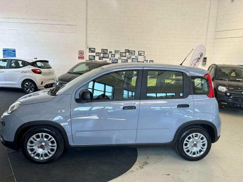 FIAT Panda 1.0 FireFly S&S Hybrid - PROMO SIRONIAUTO+