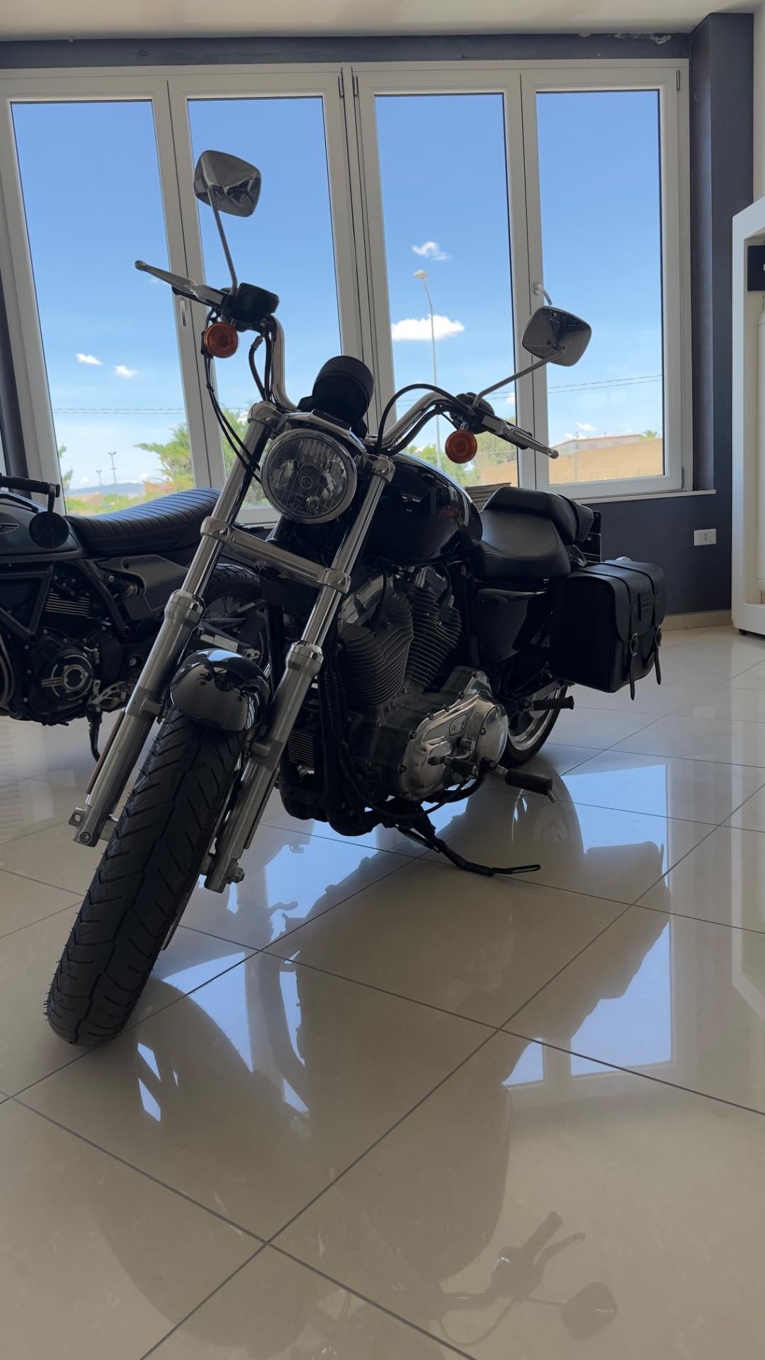 Harley-davidson XL 883