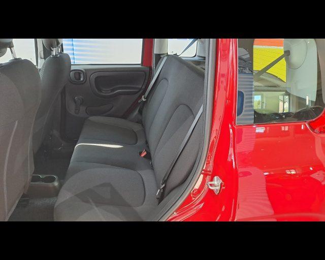 FIAT New Panda 1.0 firefly hybrid s&s 70cv - PACK CITY