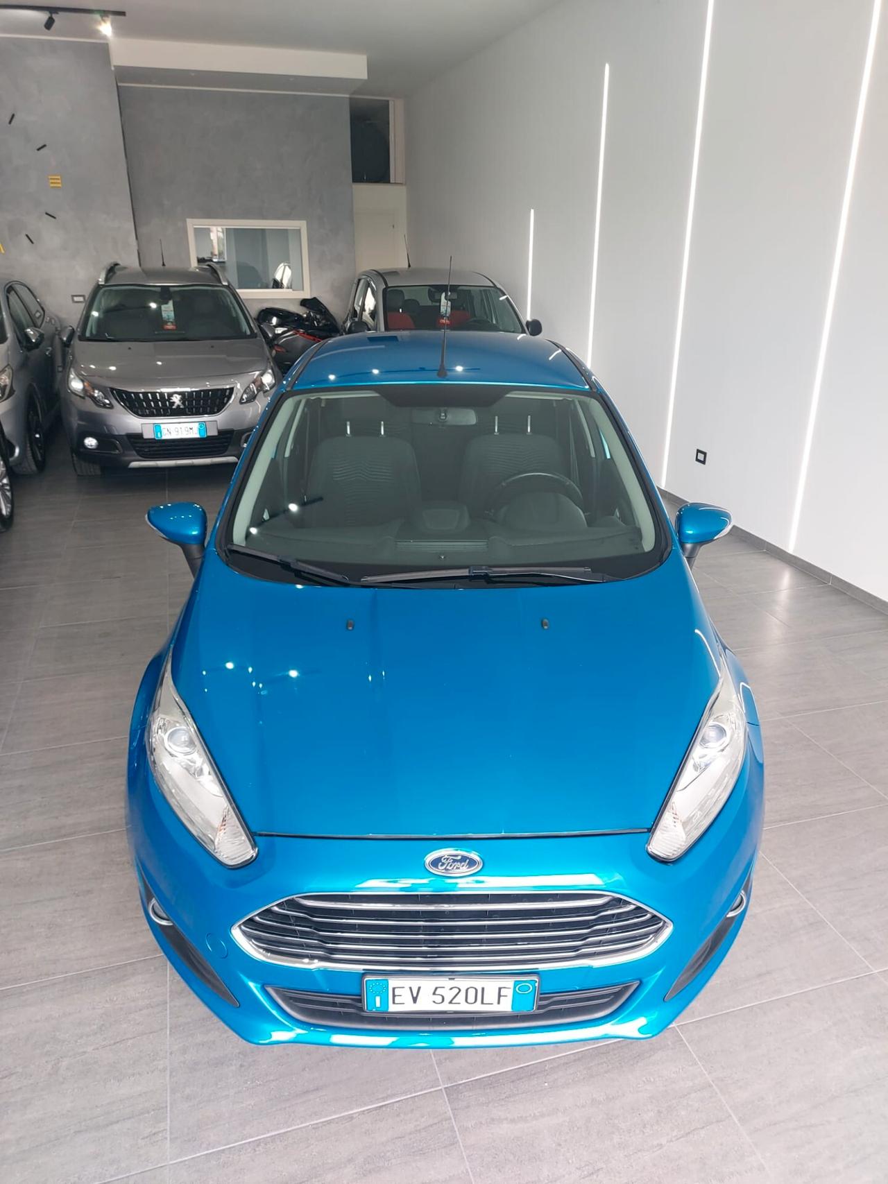 Ford Fiesta 1.5 TDCi 75CV 5 porte Titanium 2014