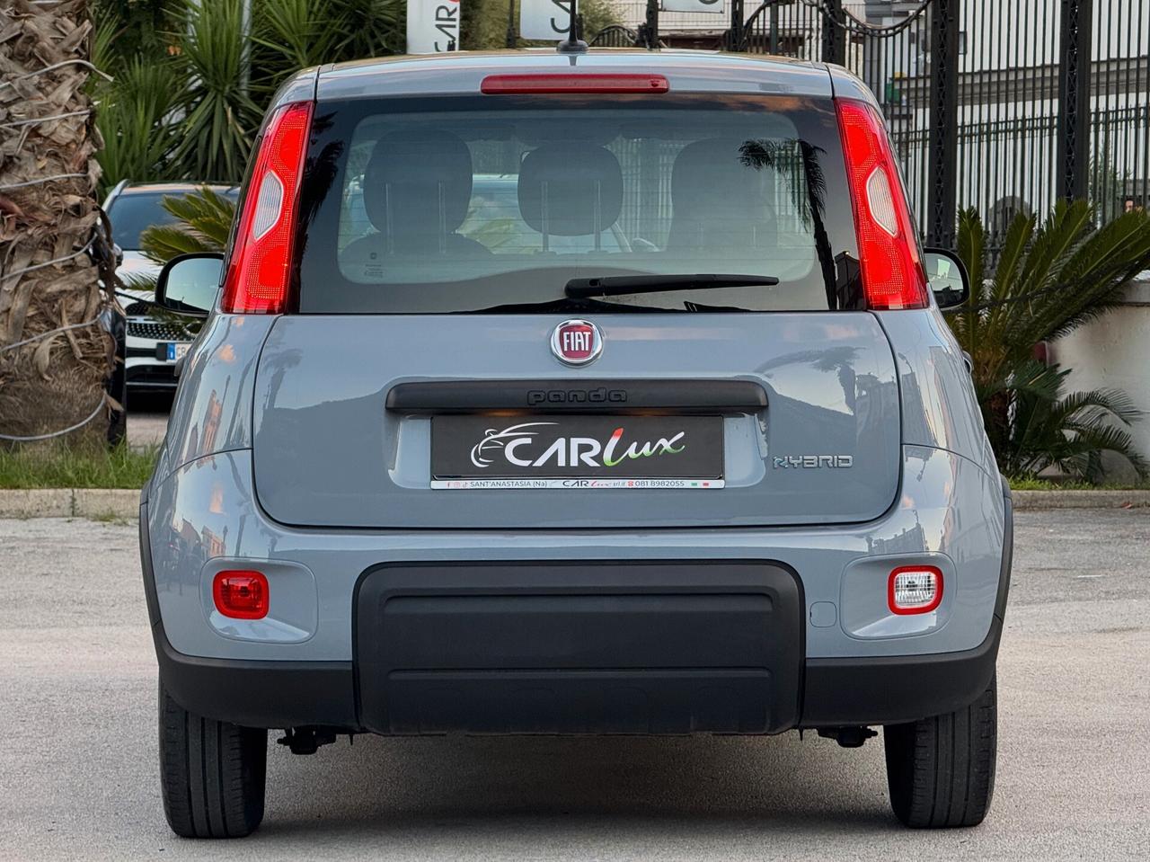 Fiat Panda 1.0 Firefly Hybrid S 70CV MY23