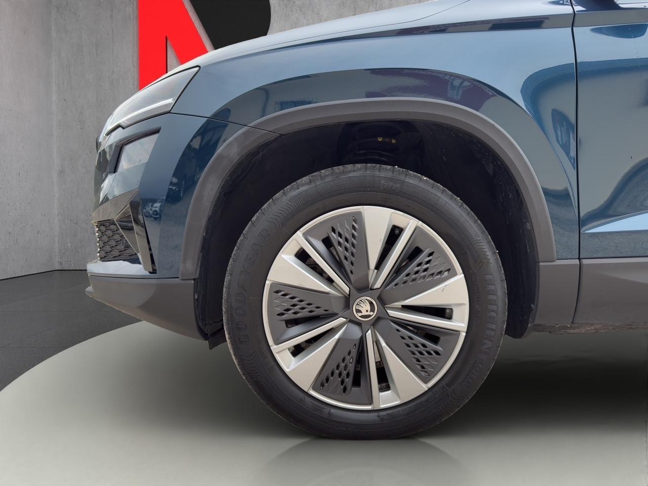 Skoda Karoq 2.0 TDI EVO SCR 115 CV DSG Executive