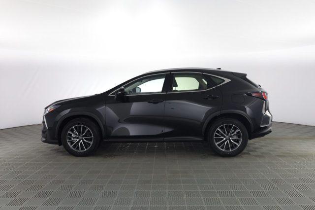 LEXUS Other NX NX Hybrid 4WD Business