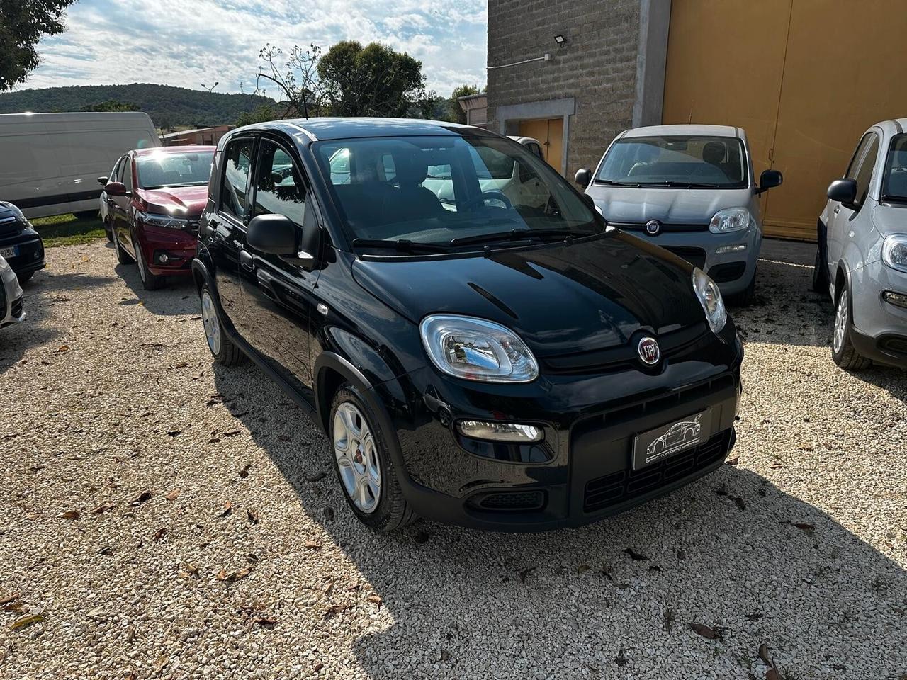 FIAT PANDA 1.0 FIREFLY S&S HYBRID PREZZO REALE