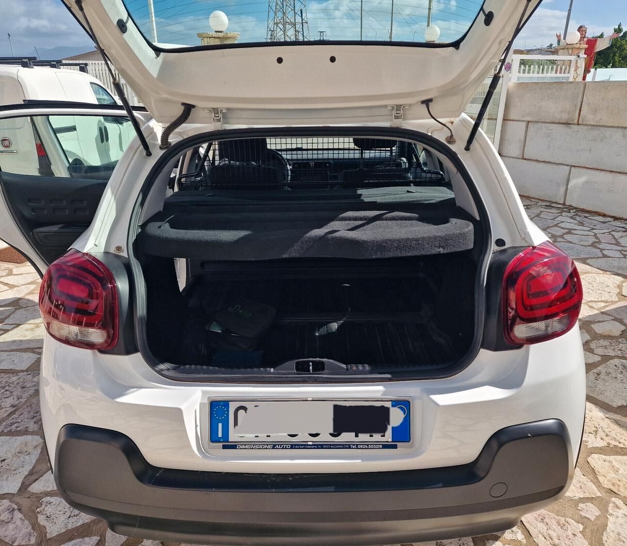 Citroen C3 BlueHDi 100CV Van Feel 2023