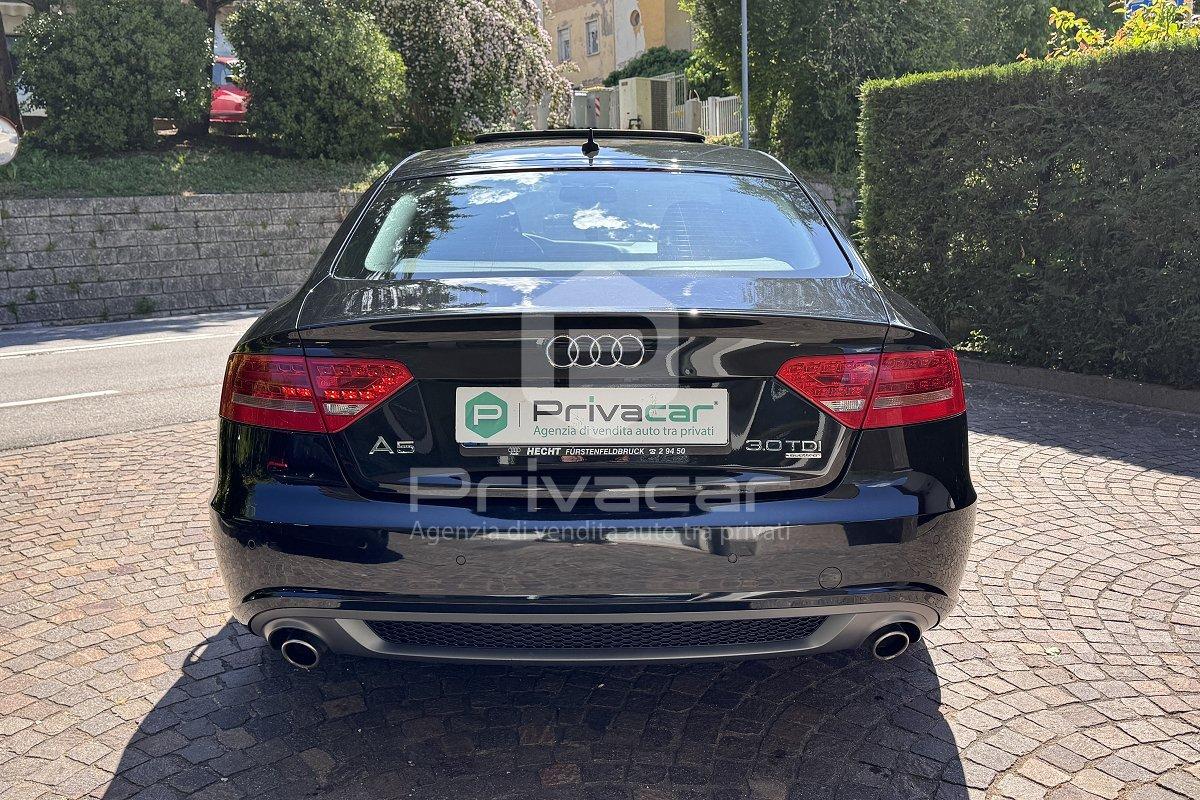 AUDI A5 SPB 3.0 V6 TDI F.AP. quattro Advanced