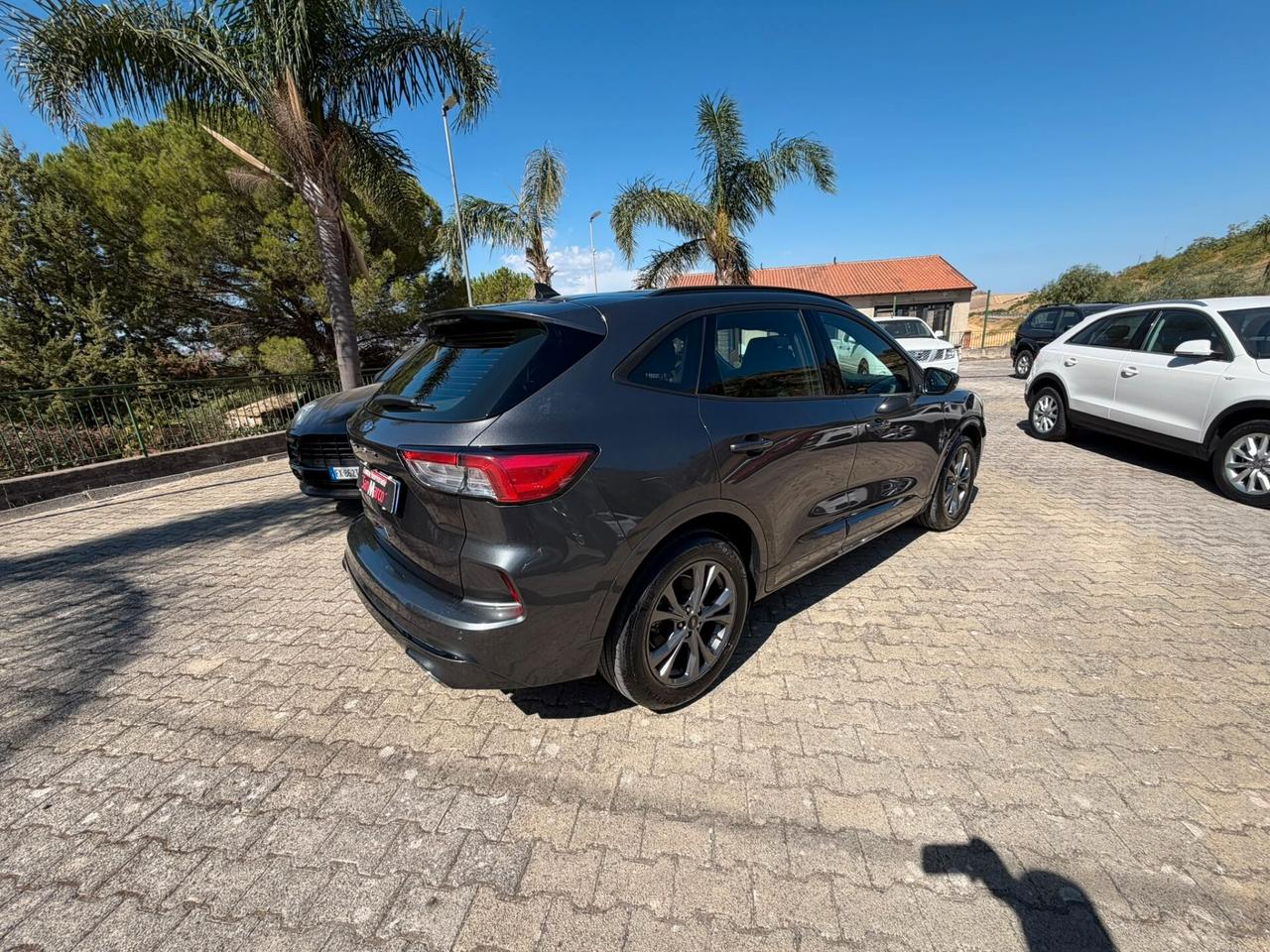 Ford Kuga 1.5 EcoBlue 120 CV 2WD ST-Line