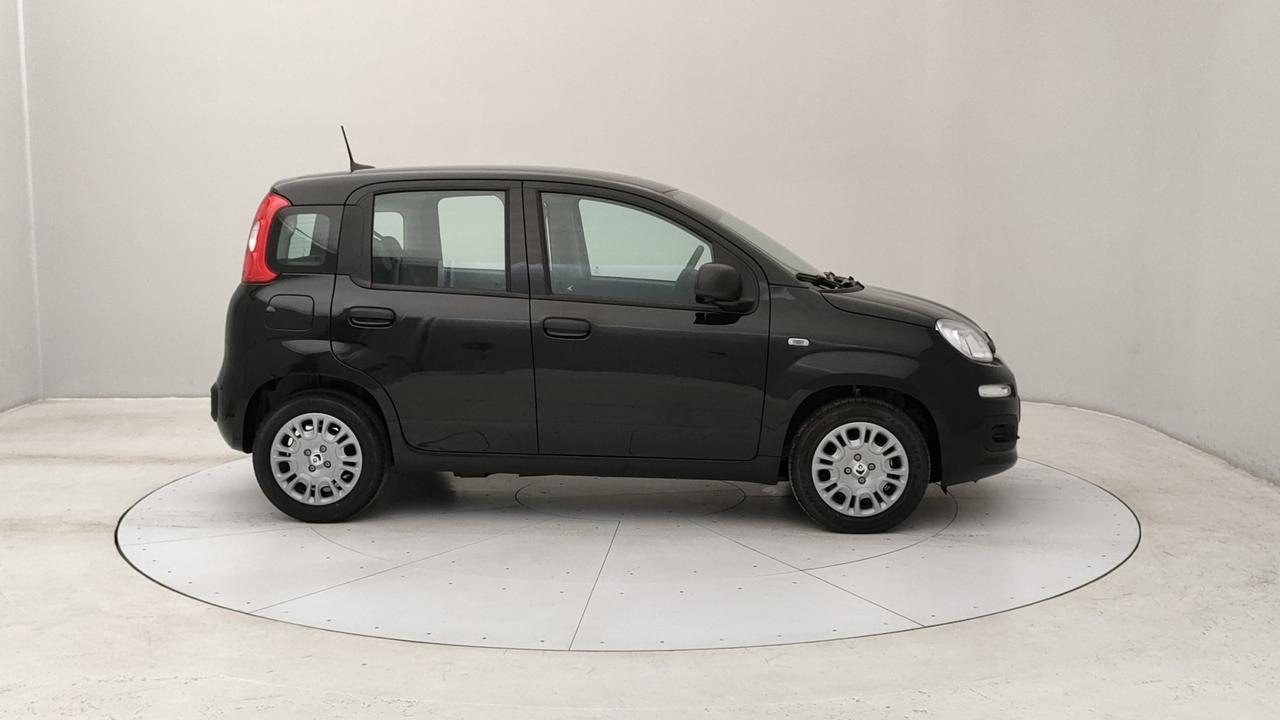 FIAT Panda III 2024 - Panda 1.0 firefly hybrid s&s 70cv 5p.ti