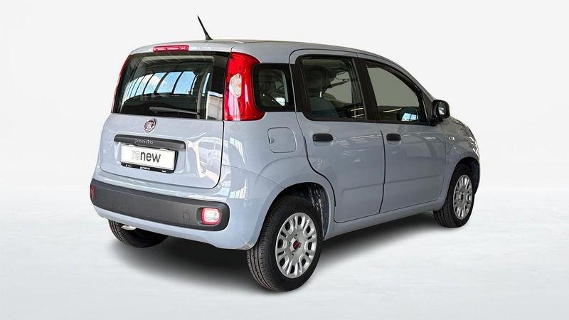 FIAT Panda III 2016 1.2 69cv Easy S&S my19