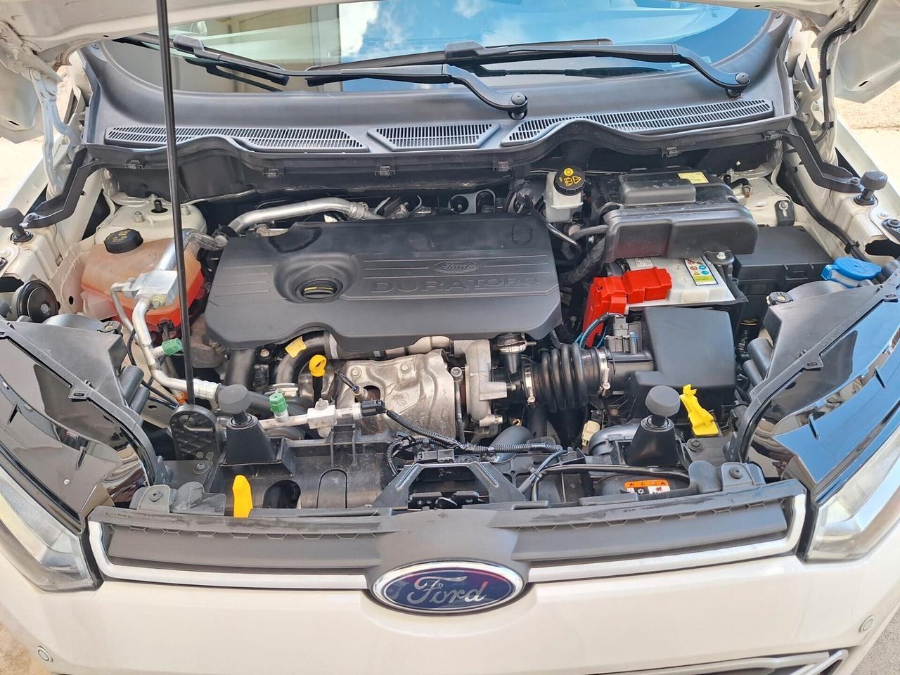 Ford EcoSport 1.5. Finanziabile Da €189,24