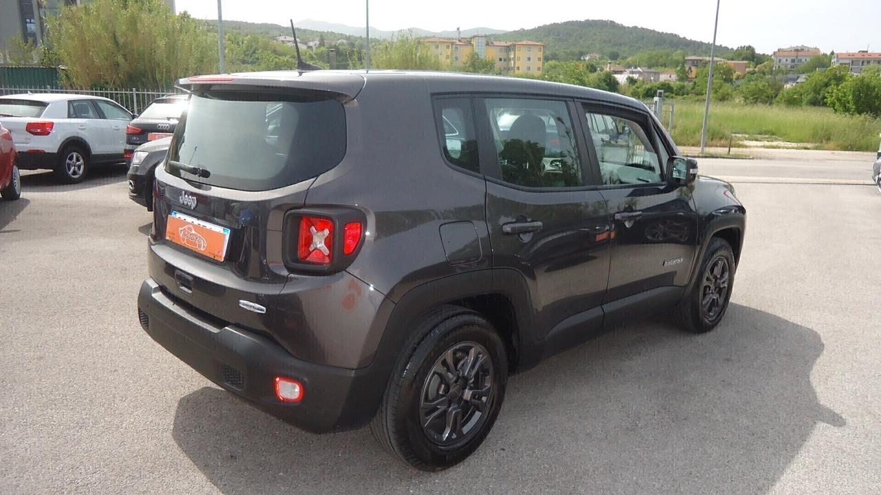 Jeep Renegade 1.6 Mjt DDCT 120 CV Business 2wd