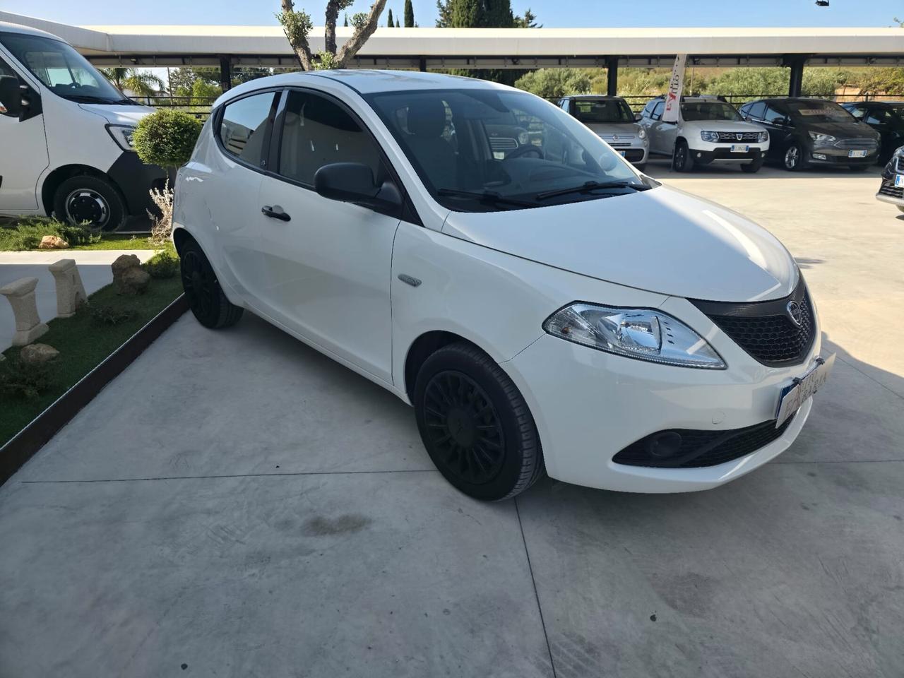 Lancia Ypsilon 1.2 69 CV 5 porte Platinum