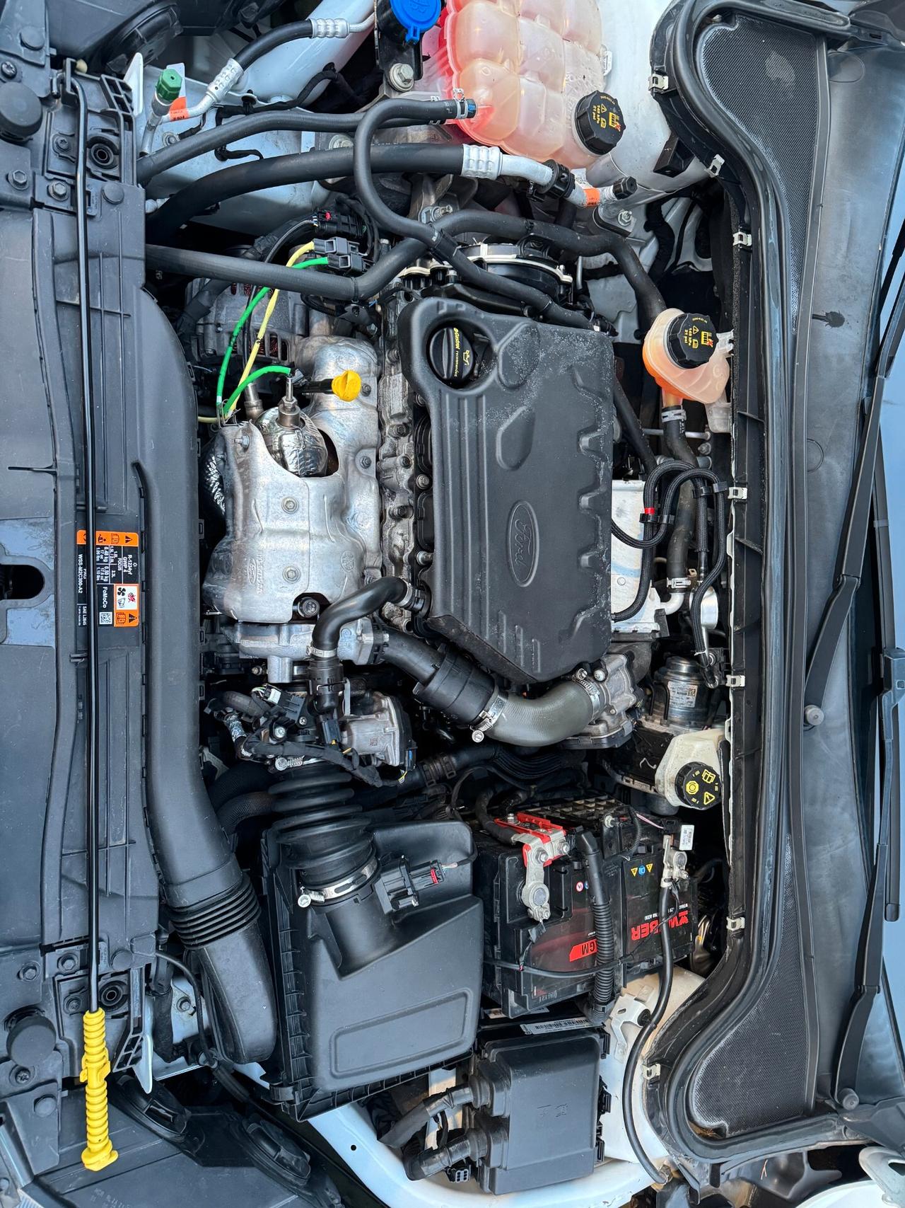 Ford Focus 1.5 EcoBlue 120 CV automatico SW Active Co-Pilot