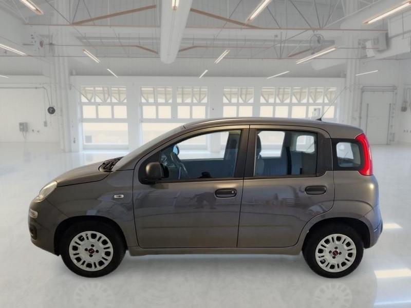 FIAT PANDA 1.2 69cv E6d-Temp Easy 5 PORTE