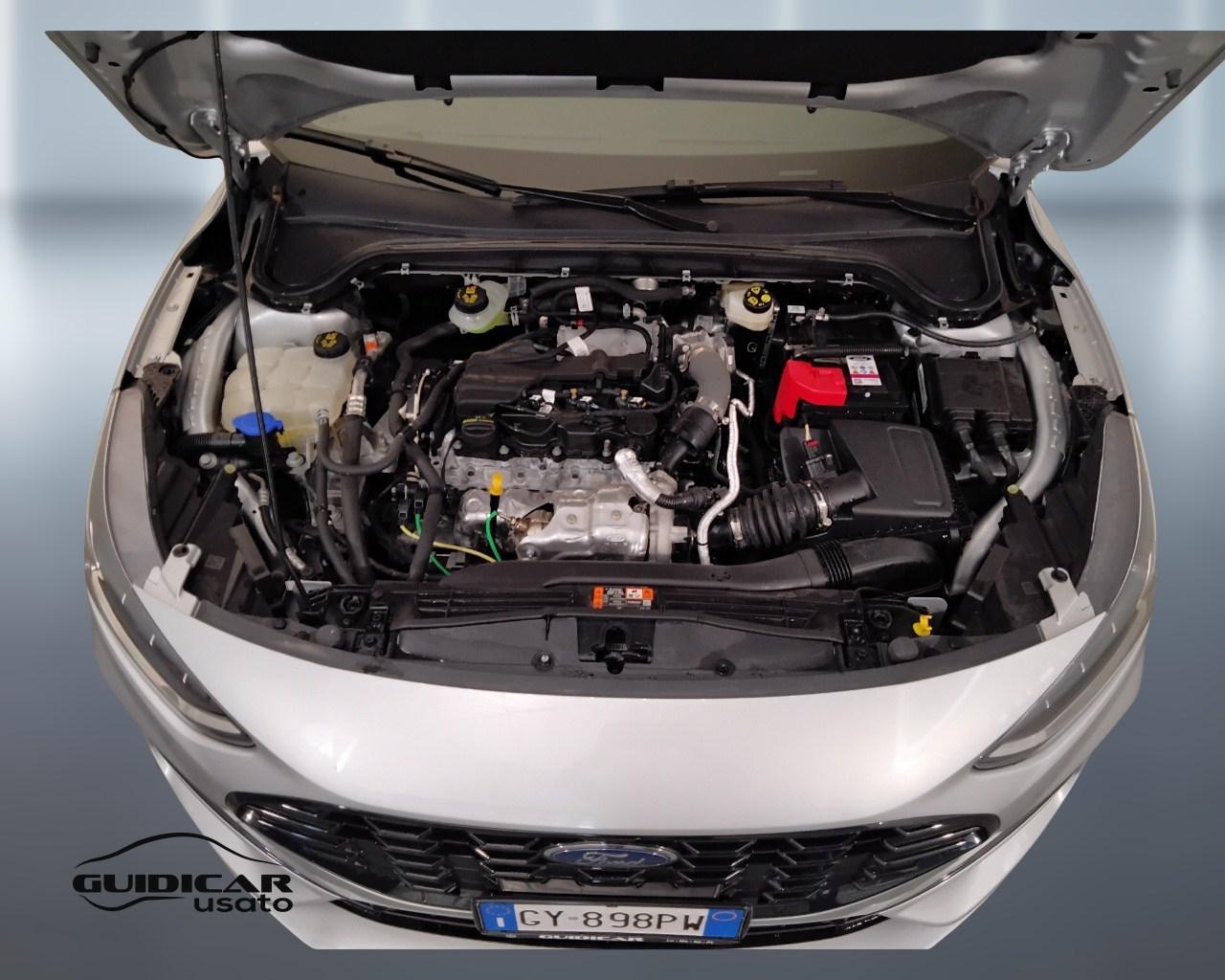 FORD Focus V 2022 - Focus 1.5 ecoblue ST-Line 115cv auto
