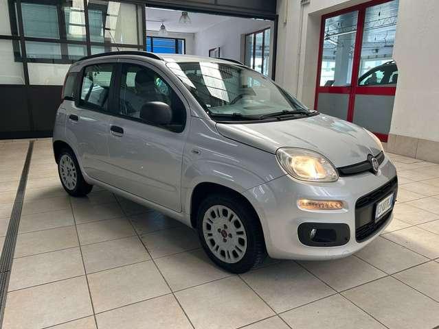 Fiat Panda Panda 1.2 69cv NEOPATENTATI - EURO 6 - CINGHIA OK