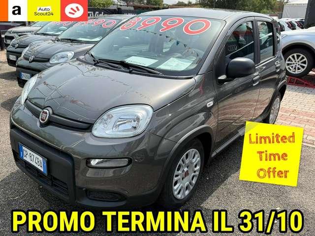 Fiat Panda Panda 1.0 firefly hybrid DISPONIBILI VARI COLORI