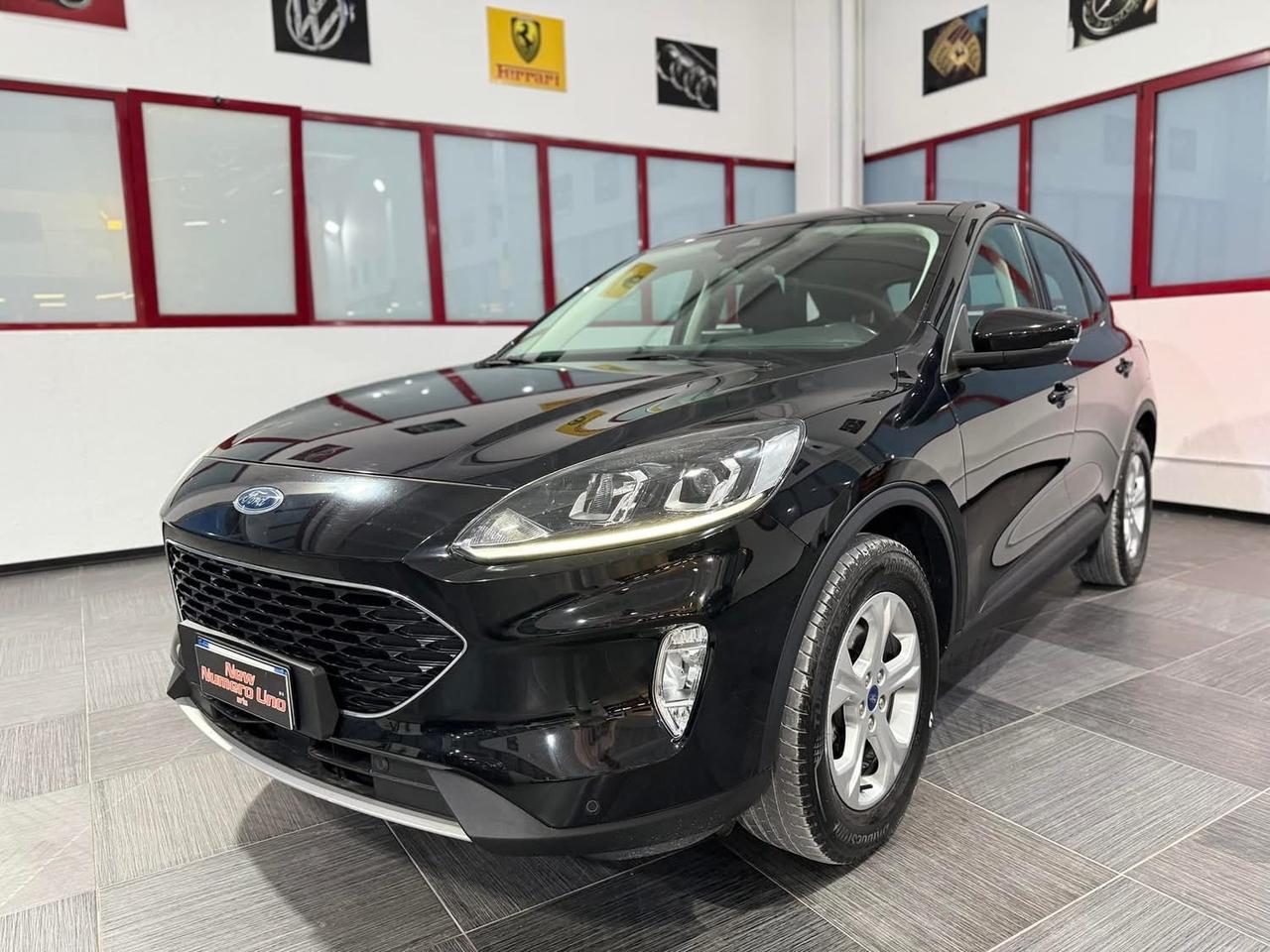 Ford Kuga 1.5 Ecoblue Titanium 120cv Autom2021