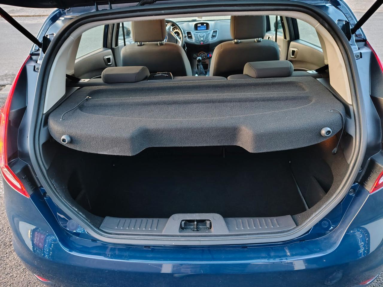 Ford Fiesta 1.4 5 porte Bz.- GPL Black & White Edition