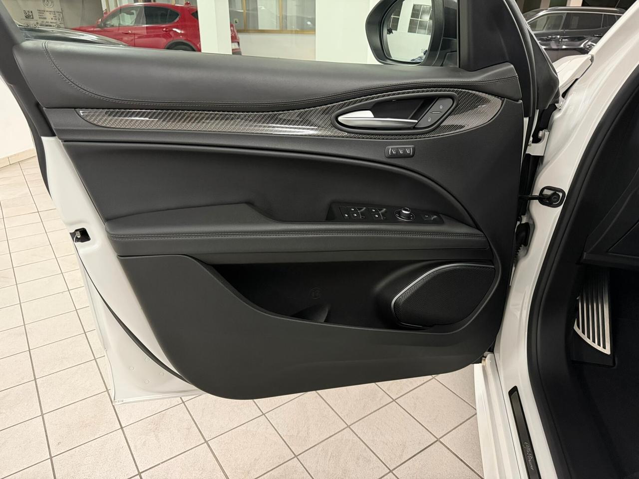 Alfa Romeo Stelvio 2.2 TD 210CV VELOCE Ti Q4 CARBONIO ALCANTARA PELLE