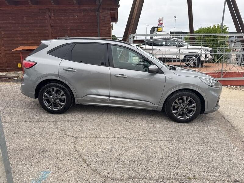 Ford Kuga 1.5 EcoBlue 120 CV ST-Line