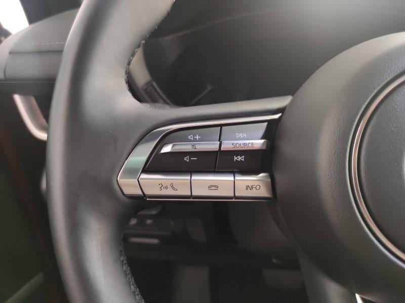 MAZDA MX-30 - MX-30 e-Skyactiv Makoto