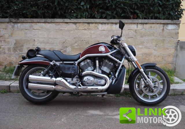 HARLEY-DAVIDSON 1130 V-ROD - VRSCR Street Rod