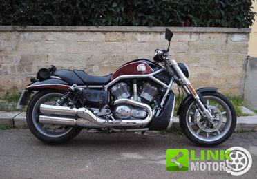 HARLEY-DAVIDSON 1130 V-ROD - VRSCR Street Rod