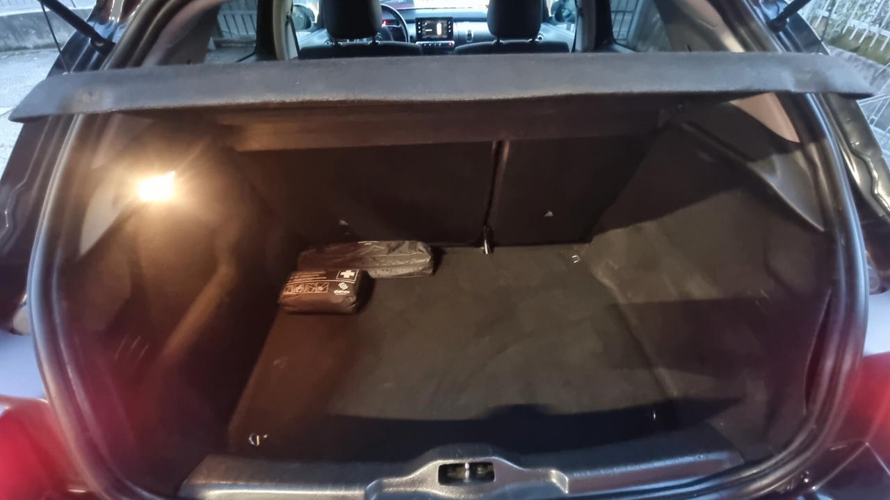 Citroen C4 Cactus BlueHDi 100 Shine