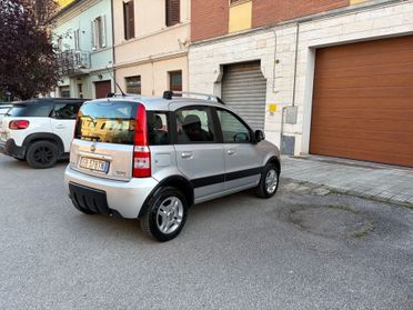 Fiat Panda 1.4 Climbing Natural Power anniversario